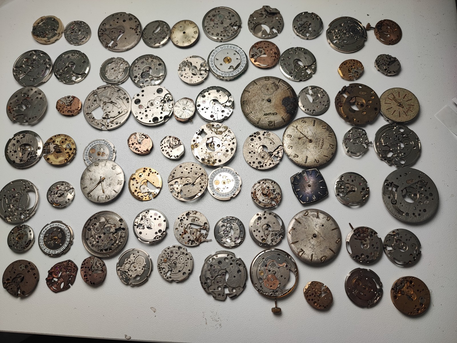 mix Watch Main Plate platinum lot watchmaker ut as arogno fe hp eb fef bfg ot…