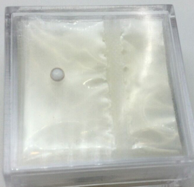 TOP QUALITY PEARL PIP DOT FOR ROLEX SUBMARINER BEZEL INSERT 116610 GOLD BLUE