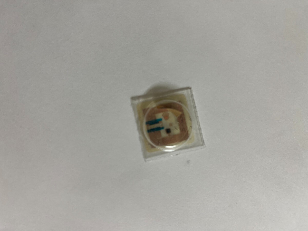 Genuine Rolex Part 2230-5450 Screw For Hairspring Bridle NEW (1 per order)