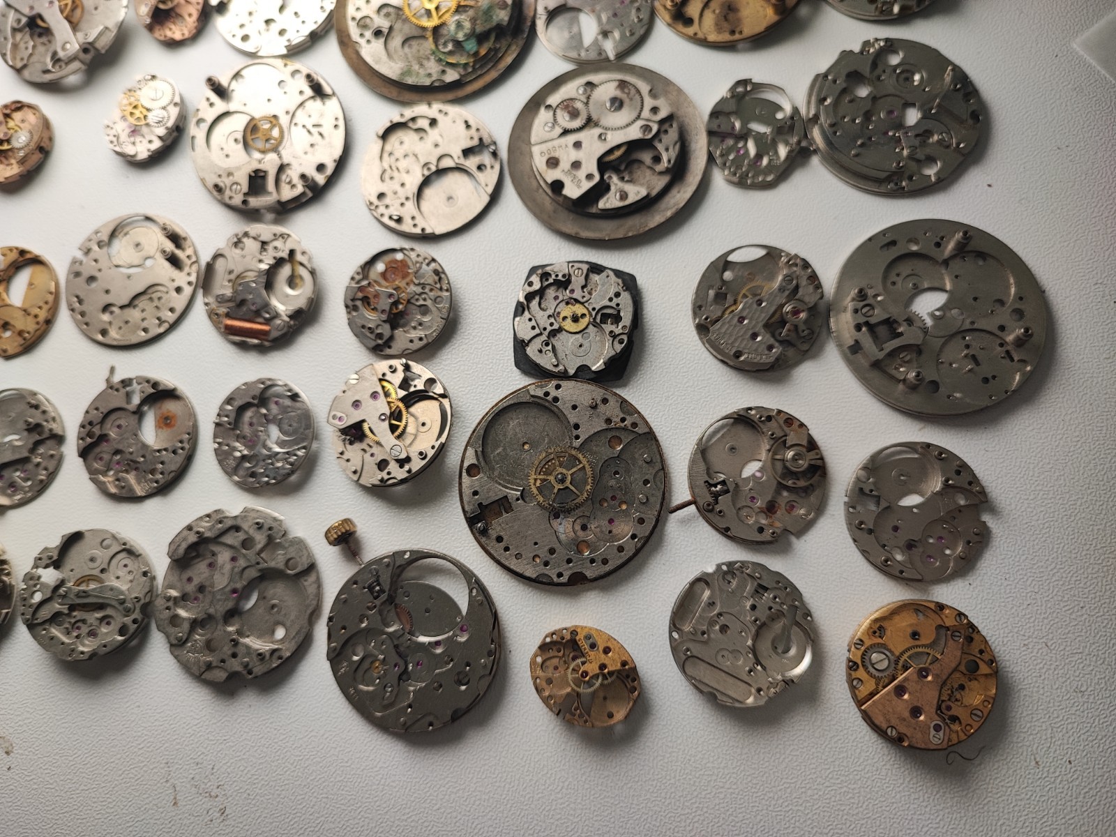 mix Watch Main Plate platinum lot watchmaker ut as arogno fe hp eb fef bfg ot…