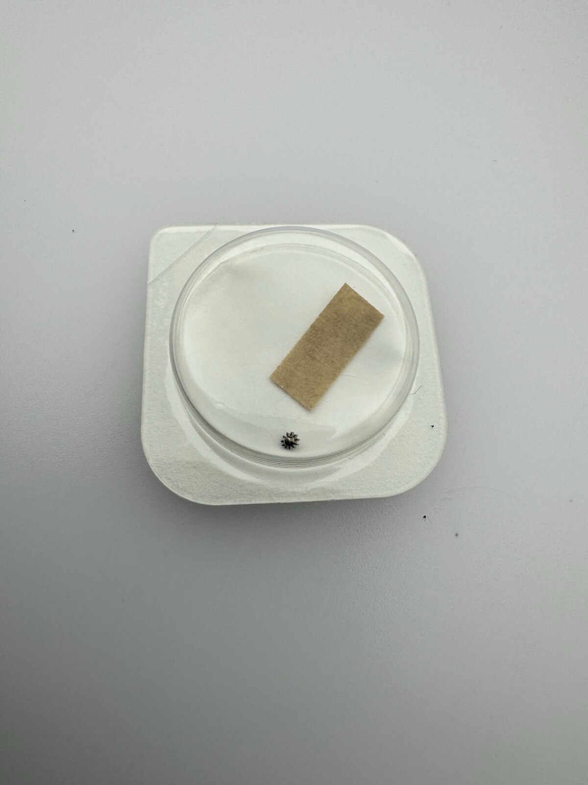 Rolex Original New 2030 2035, 4444 Wig Wag Genuine NOS Sealed