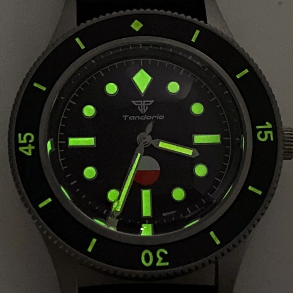 Luminous Black Watch Dial Face 29mm for NH35 NH36 ETA2824 PT5000 SW200 Movement