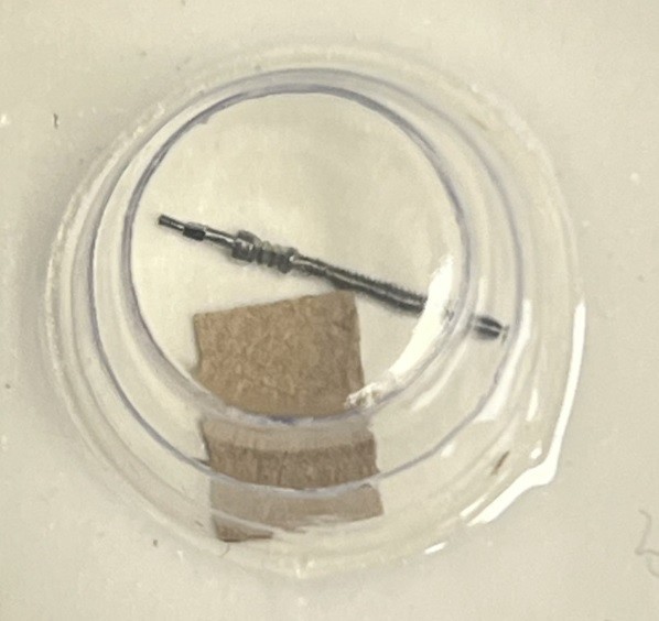 Watch Stems Fit For Piaget Caliber 8P/8P2