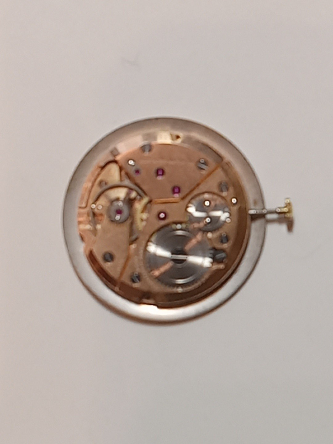 wakmann watch Movement 17 Jewels Swiss Mens Watch Mnual