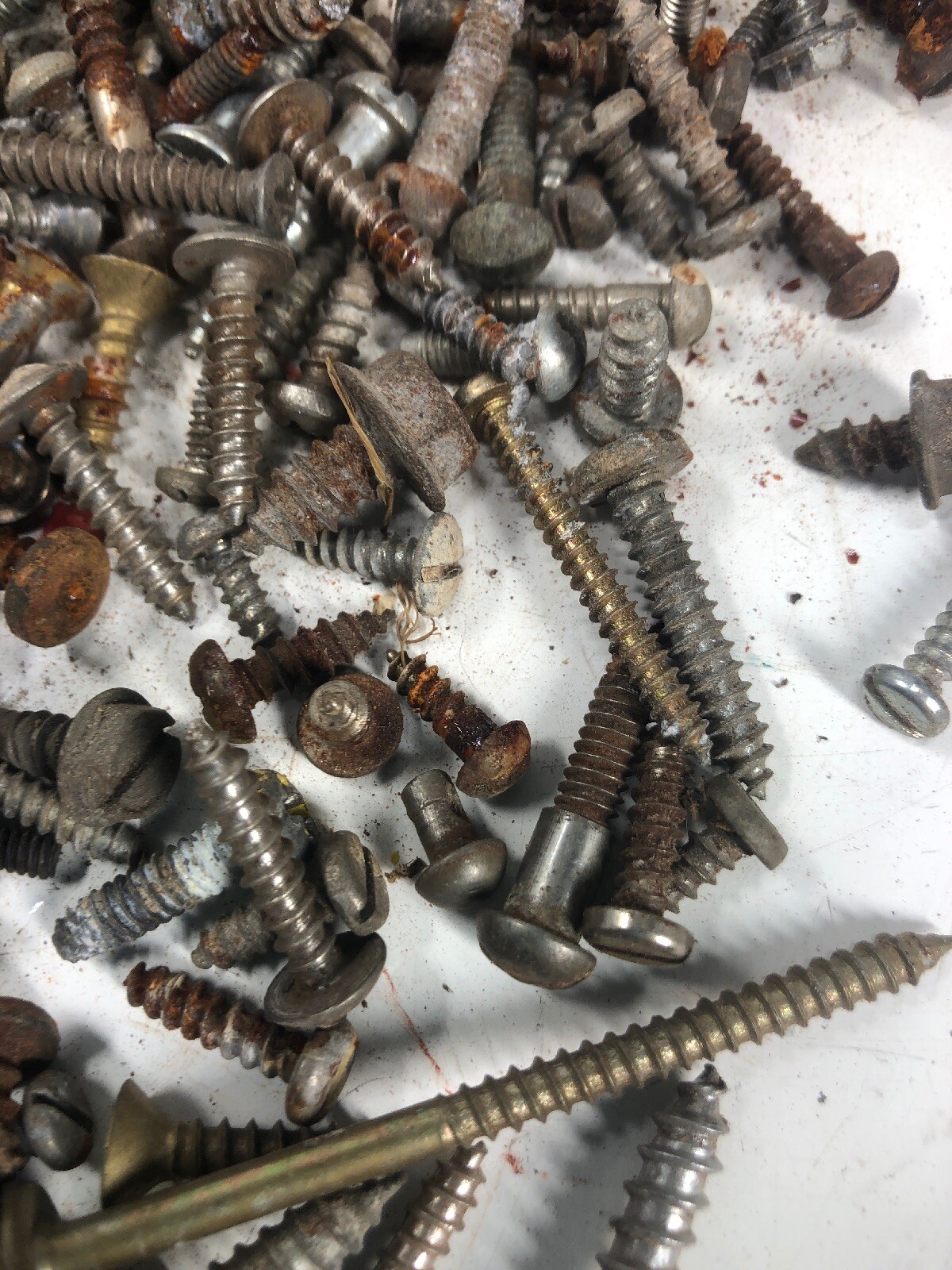5+ Lbs ANTIQUE AND VINTAGE SCREWS, Fasteners Philips Flat Blade Rustic
