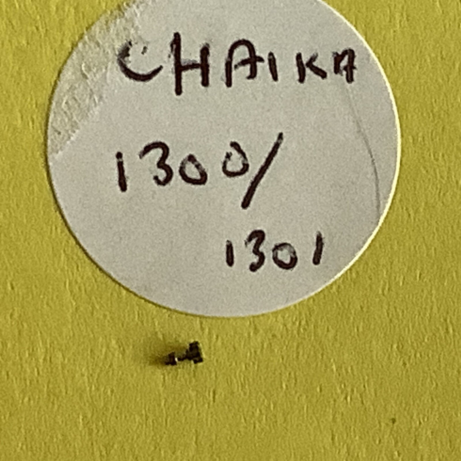 CLASSIC WATCH PARTS. CHAIKA 1300/1301 CANNON PINION