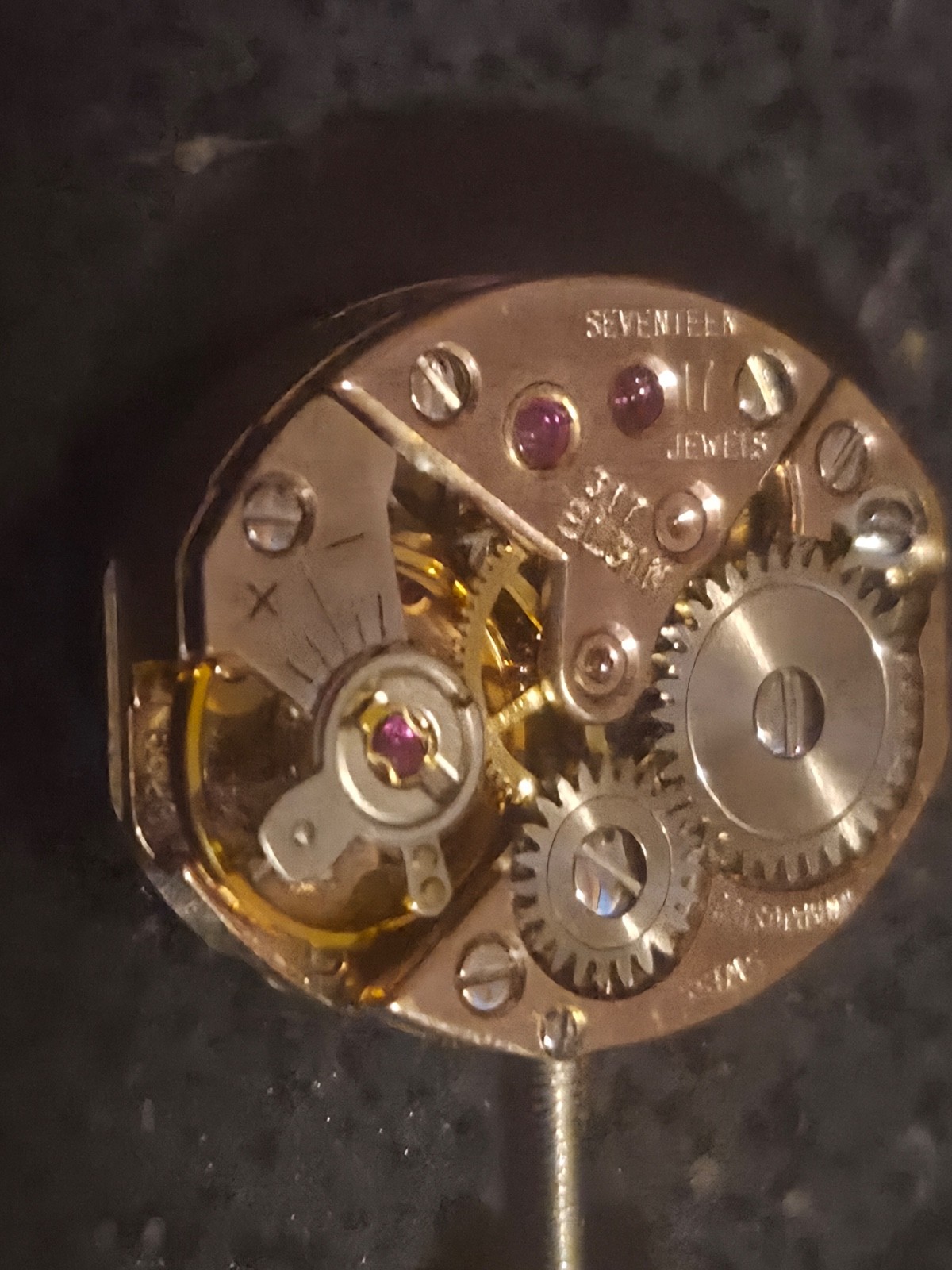 FEF 6620 Ladies Watch Movement. Swiss, 17 J. Runs.