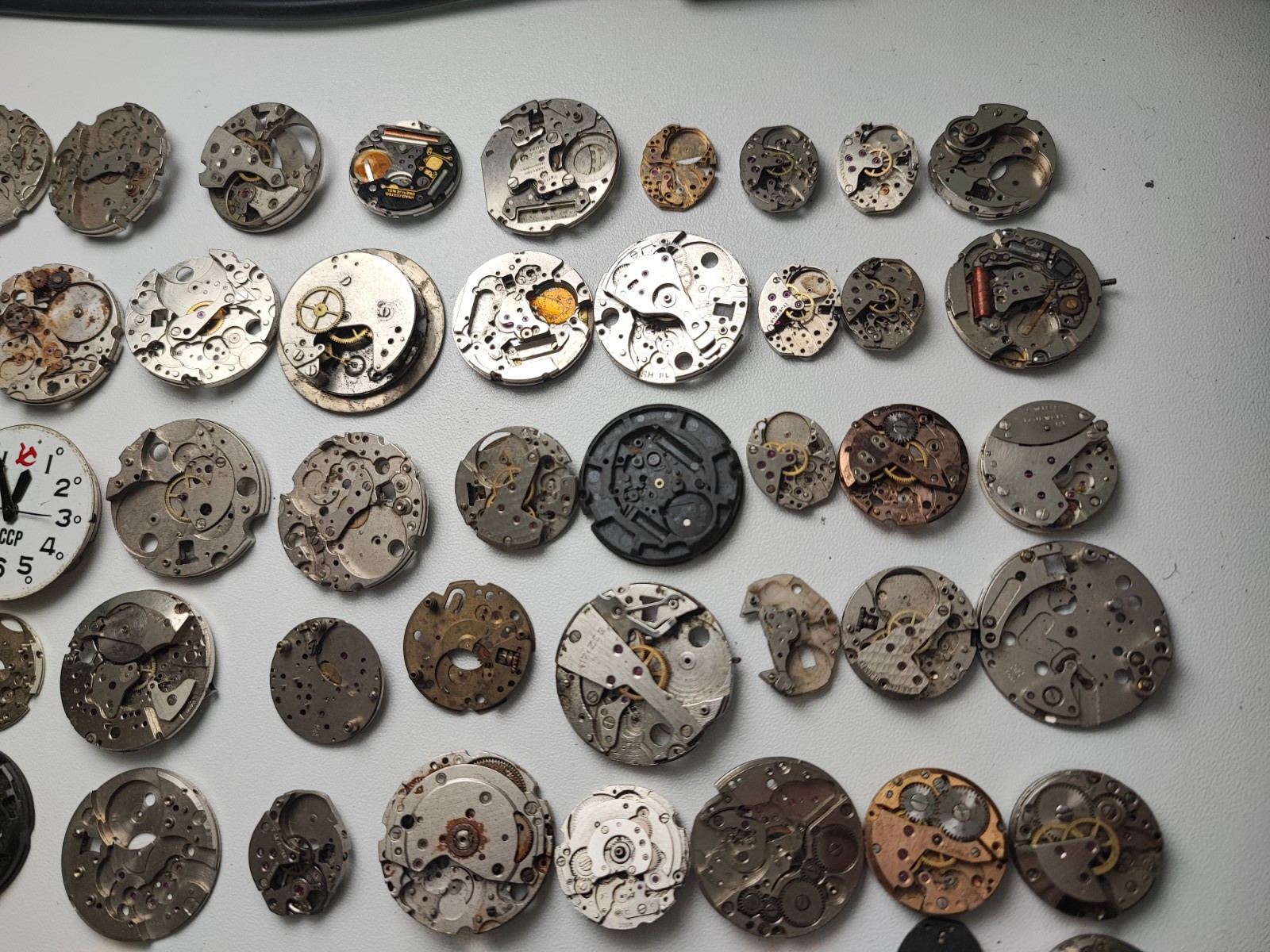 mix Watch Main Plate platinum lot watchmaker ut cattin as fef fhf eb jej other