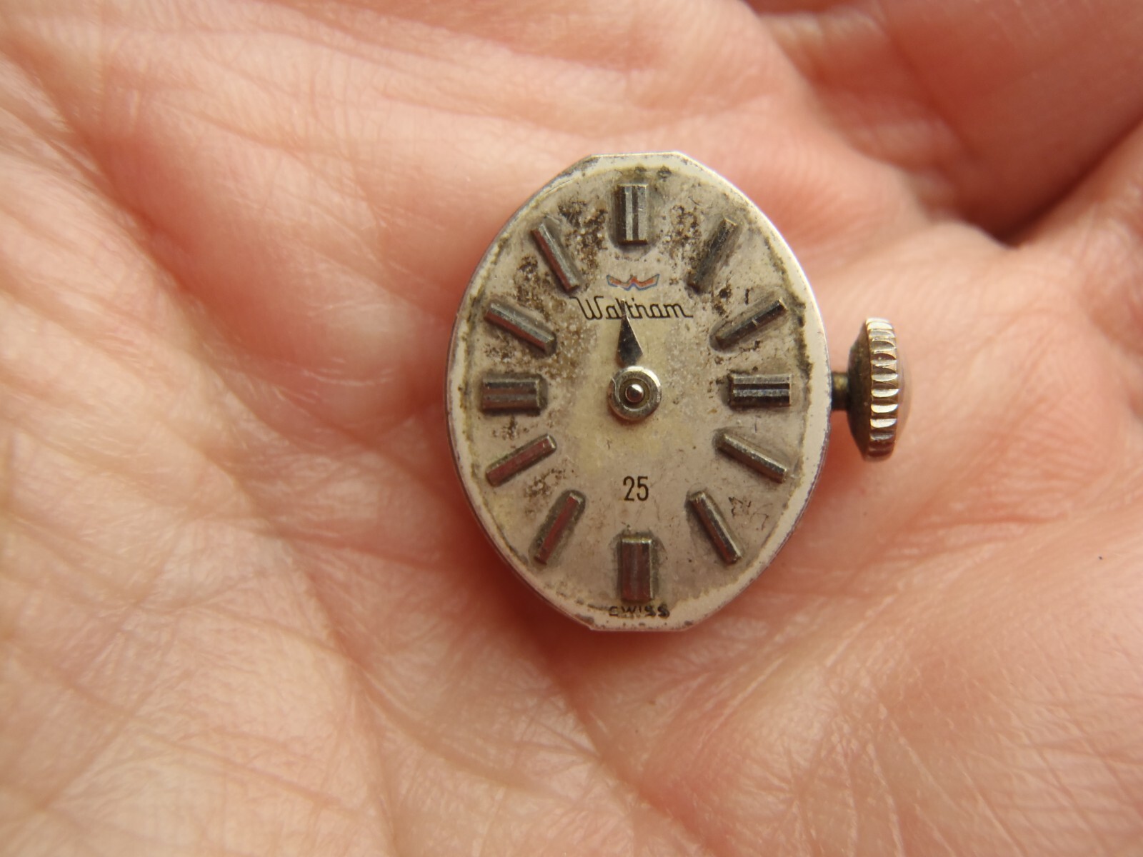 WALTHAM 25 Jewel Manual Winding Movement Running