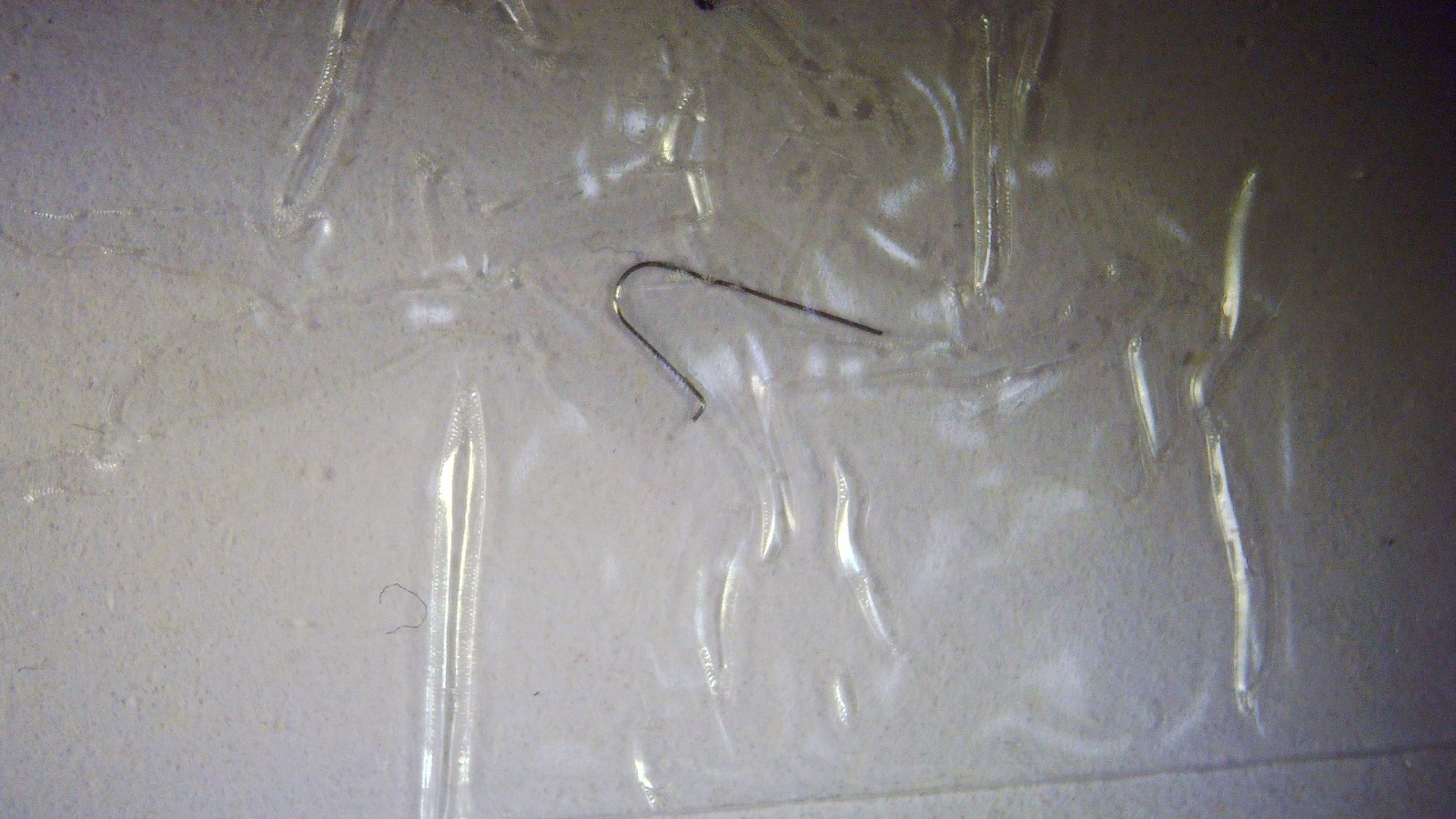 FHF ST 96.4 430 Click Spring used.