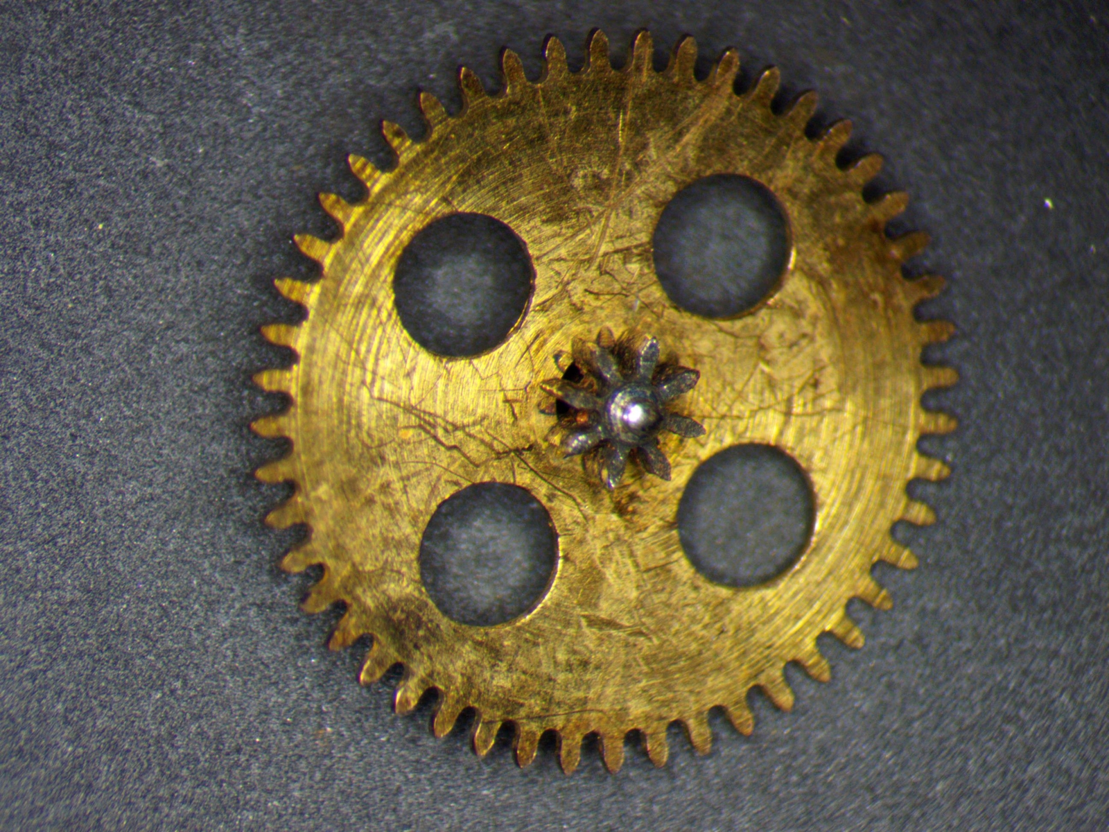 Rolex 3035 5069 Driving Ratchet Wheel parts repair