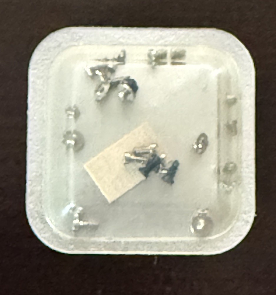 New Genuine Rolex Cal. 1570 Part 8111 Set Of Screws OC#8111