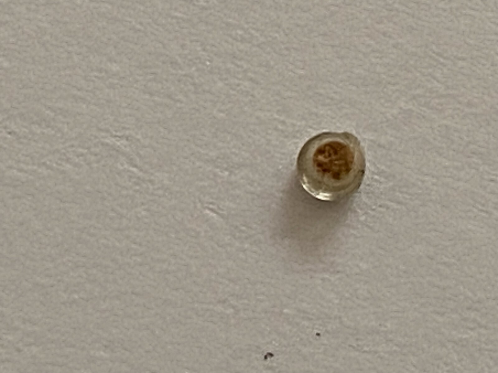 Vintage Luminous Dot For Rolex Submariner Model 5513-1680
