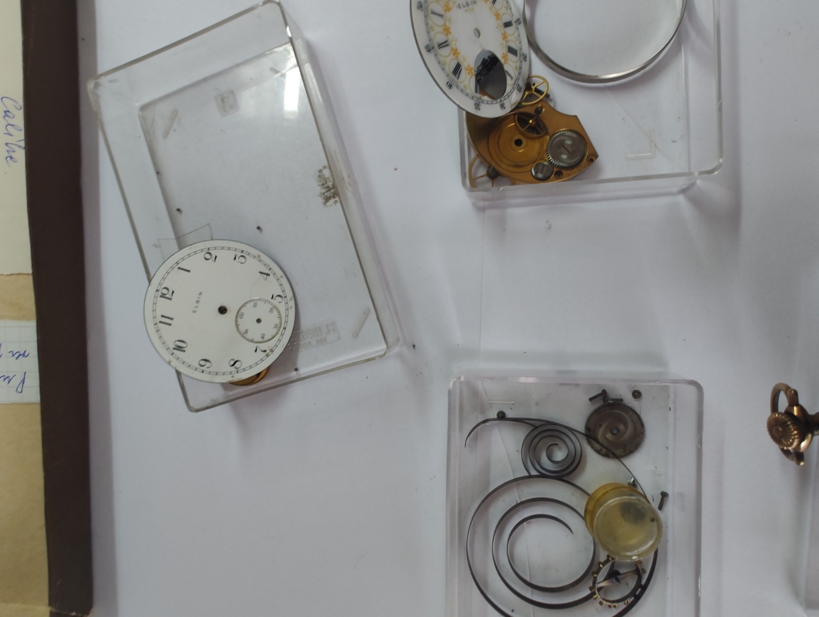 Elite Elgin National Watch Co. Archive: 1900s Movements, Fancy Enamel Dials !!