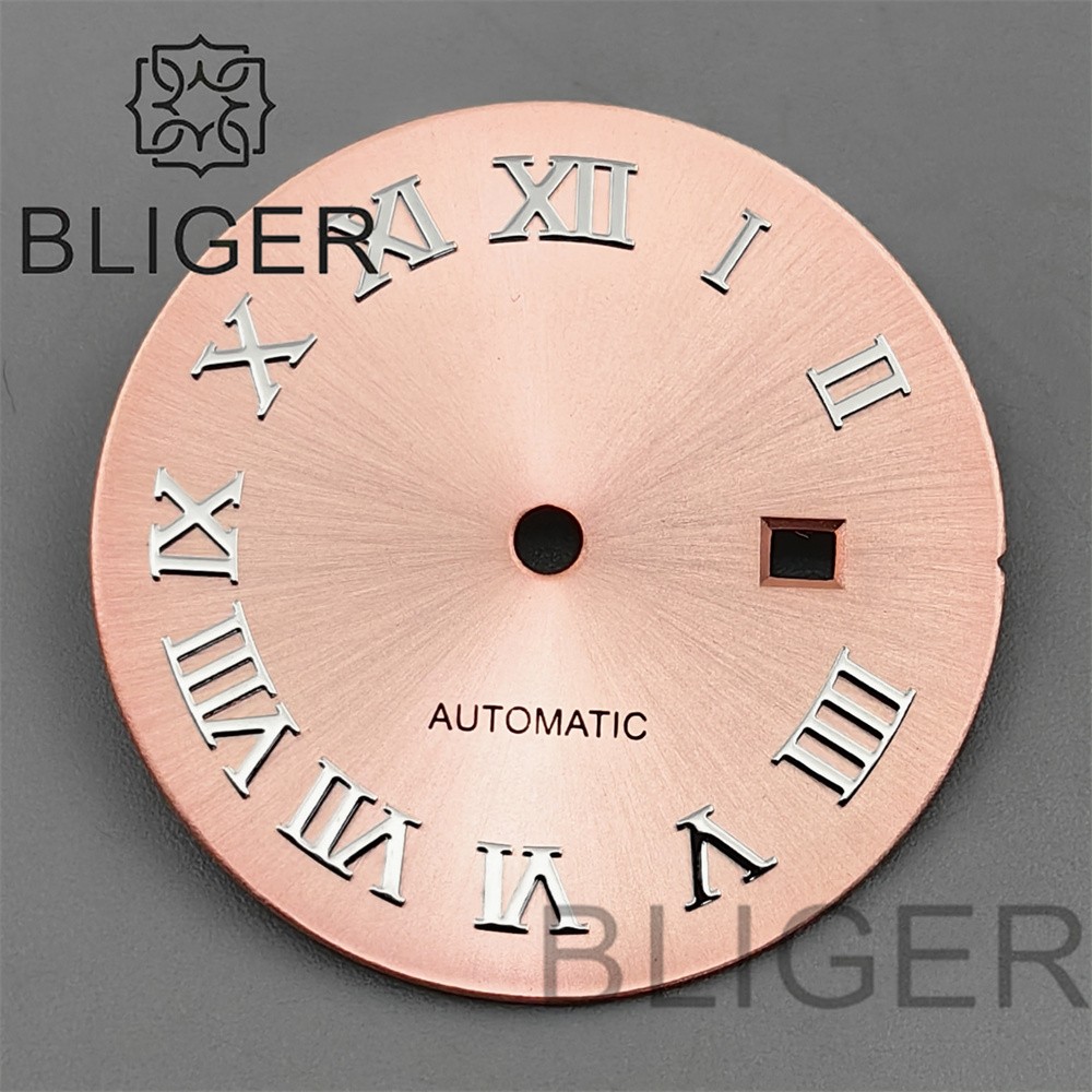 24.5mm Roman Numerals Sun Pattern Watch Dial Date Fit NH05 06 Movement