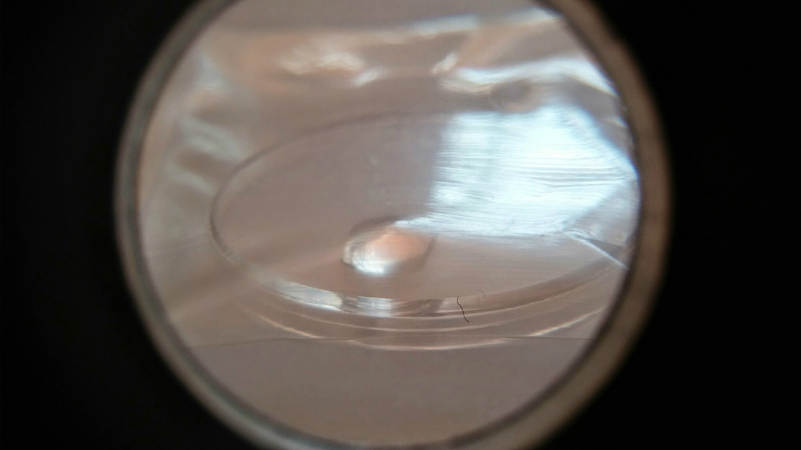 25-114 or 1803 PLASTIC WATCH CRYSTAL “Swiss Made – TO FIT