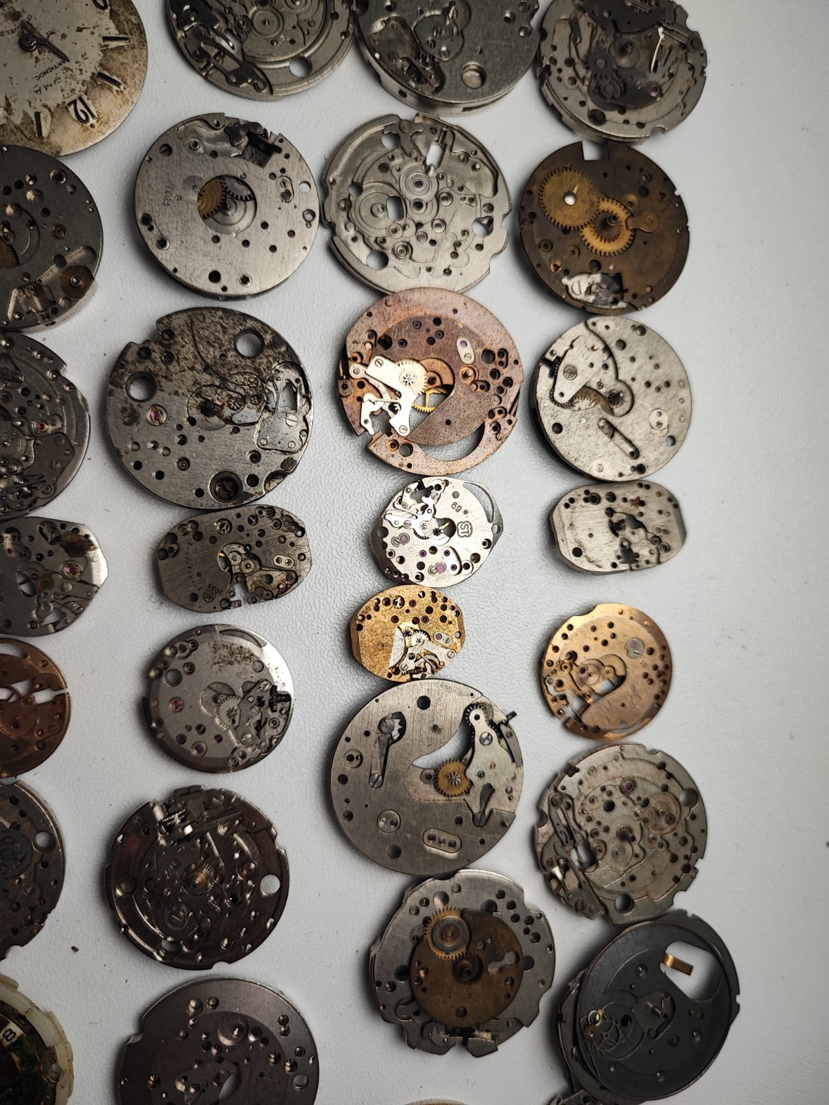 mix Watch Main Plate platinum lot watchmaker ut int fe as st rw jej bfg others