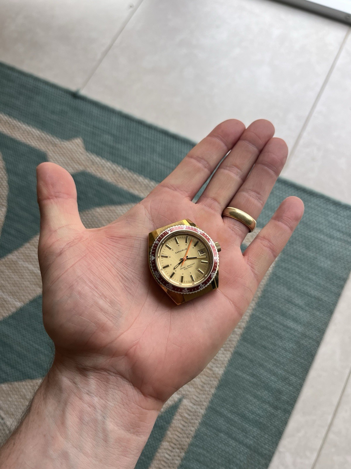 1976 Caravelle Ref. Q-108 333 Diver Case (015)