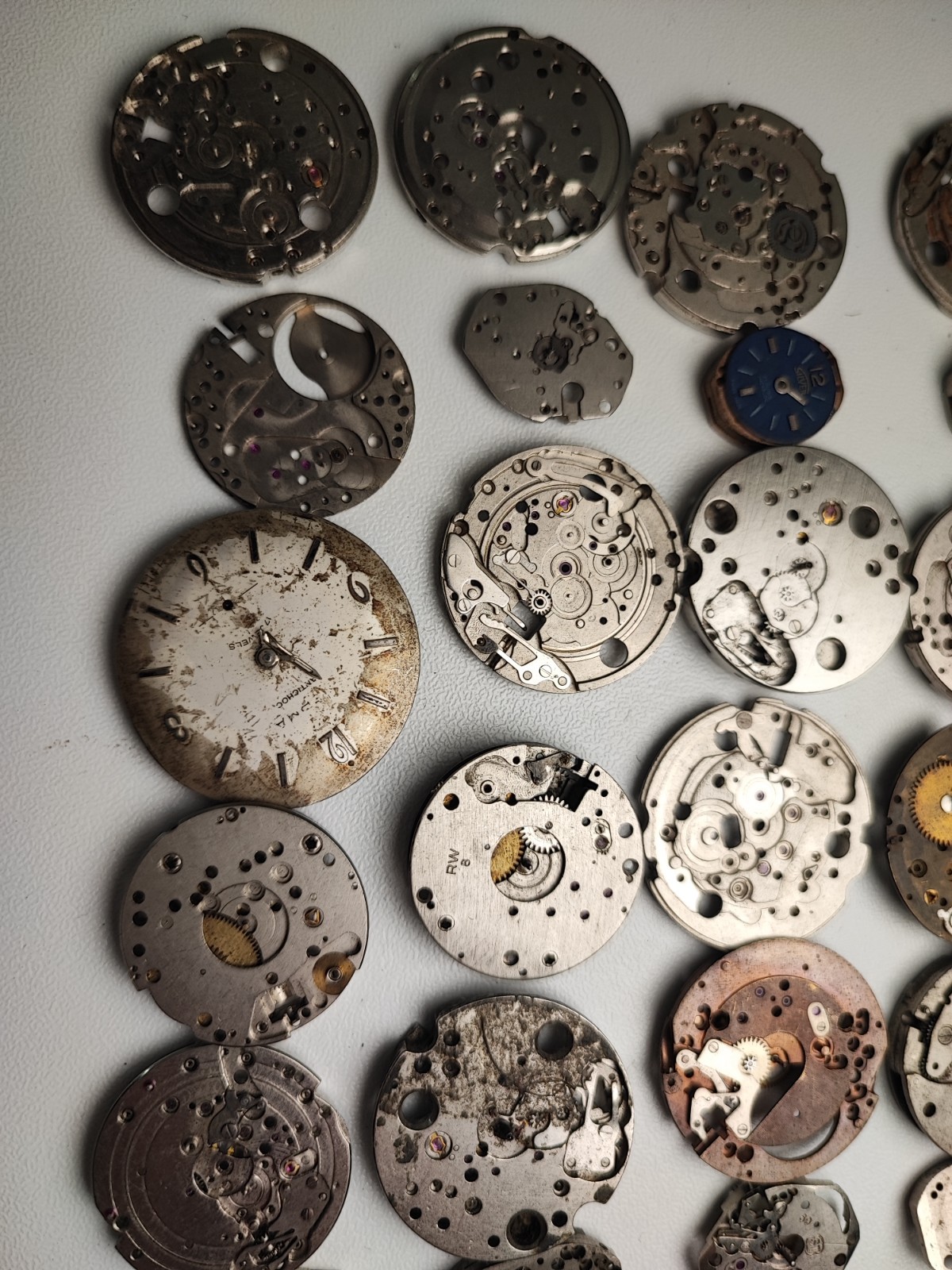 mix Watch Main Plate platinum lot watchmaker ut int fe as st rw jej bfg others