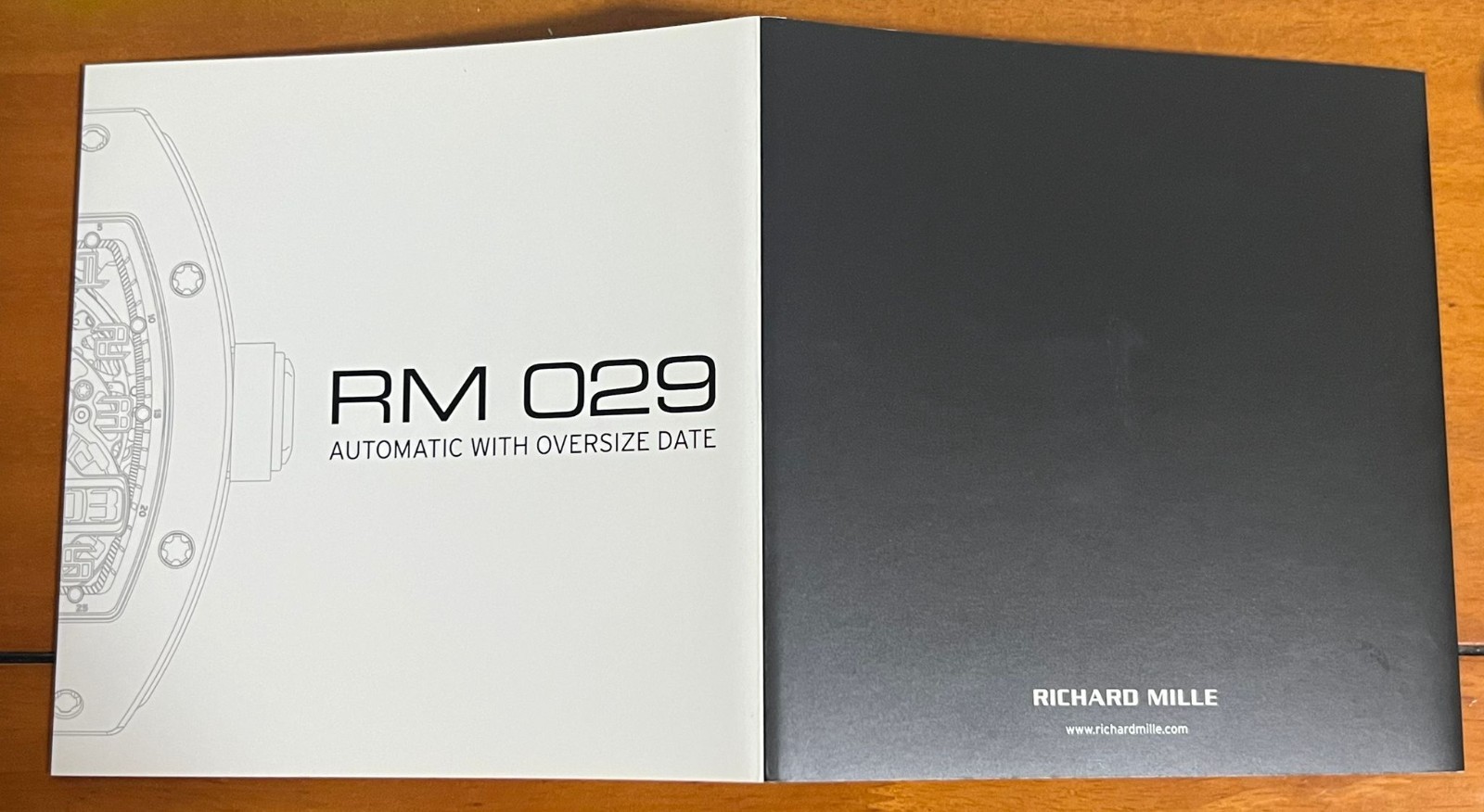 RARE Richard Mille RM029 Boutique Exclusive Technical Specification Leaflet
