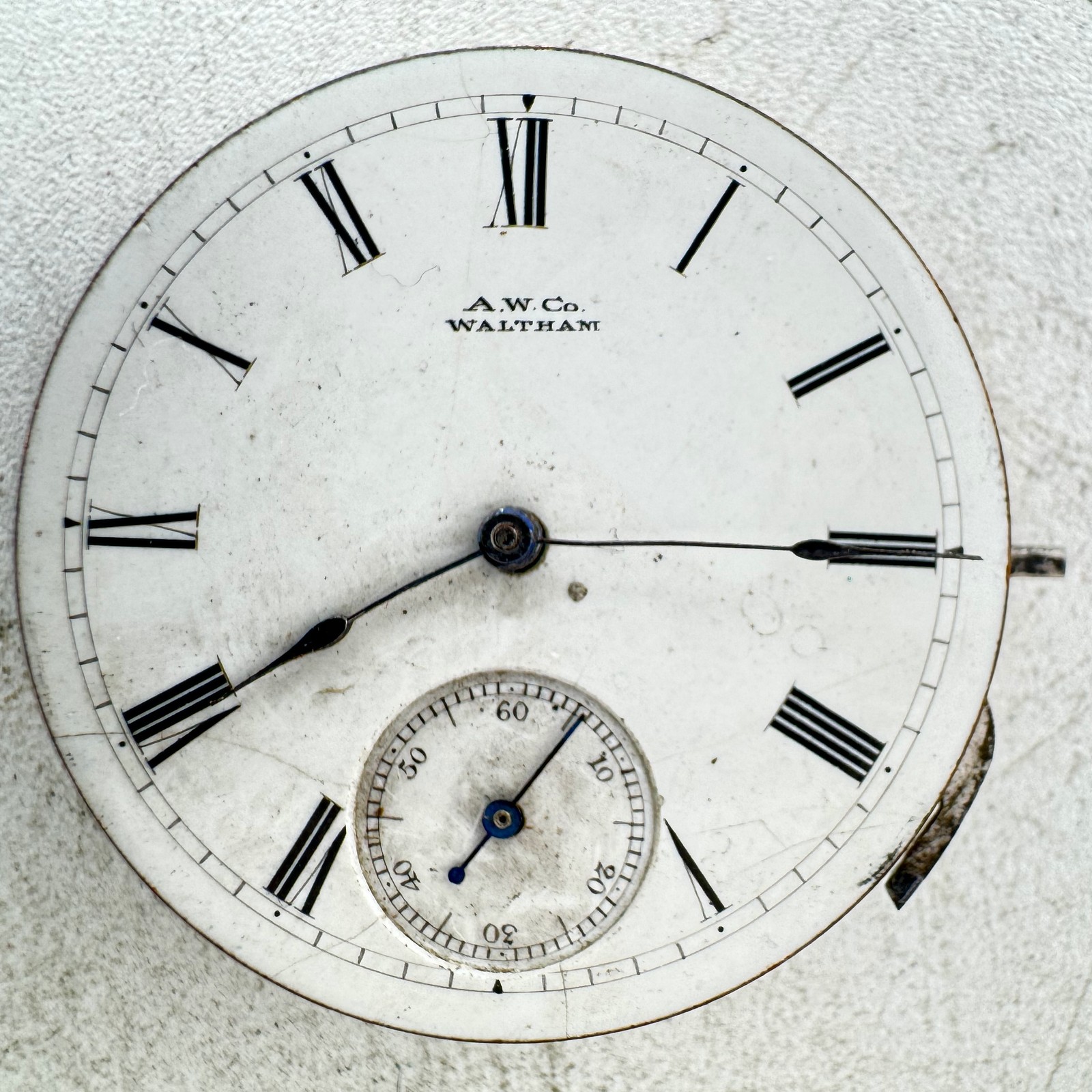 Antique 8s Waltham Roman Dial Hunter Pocket Watch Movement Wm.Ellery Gilt Finish