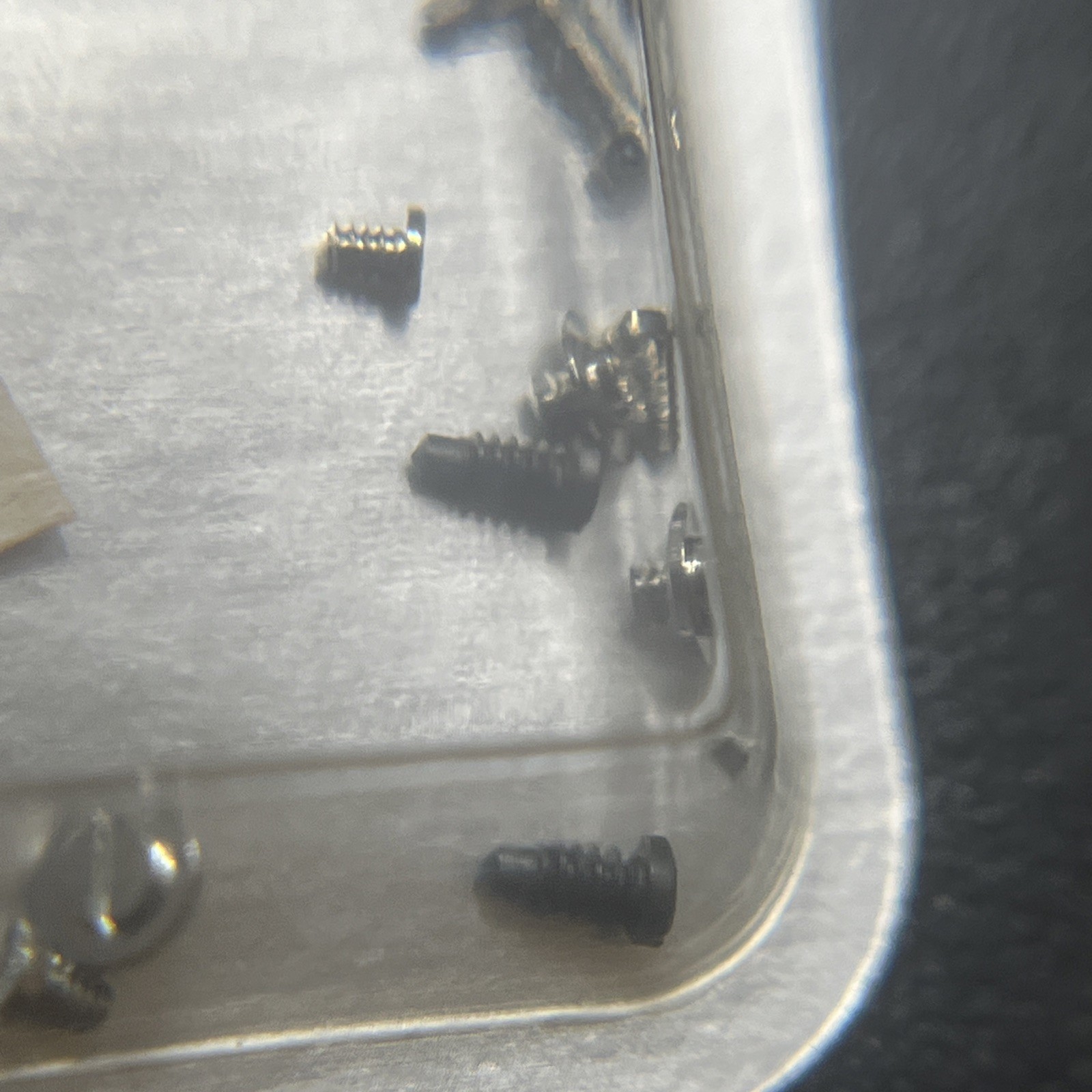 New Genuine Rolex Cal. 1570 Part 8111 Set Of Screws