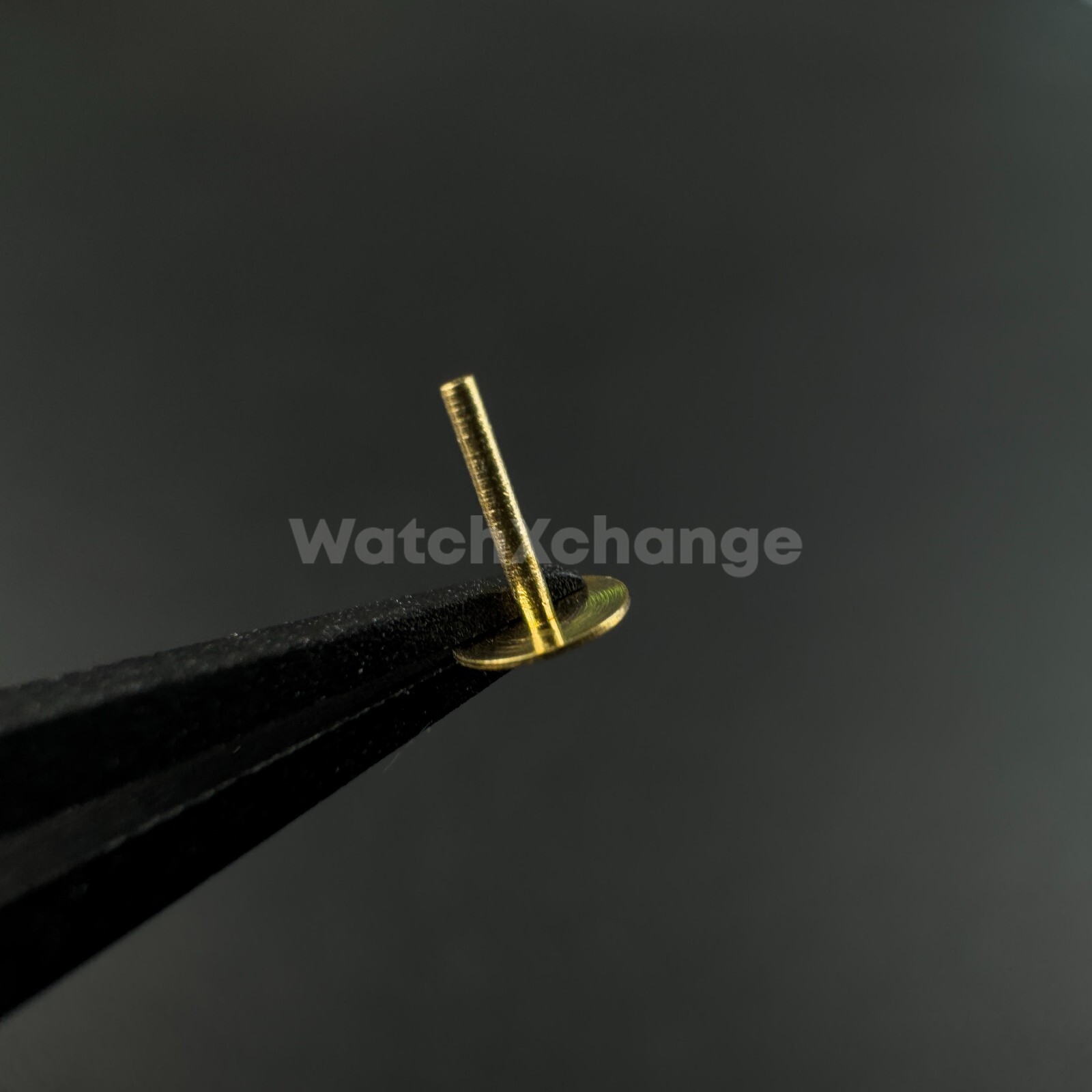 0.6mm Dial Foot Pin For Watch Repair Copper Locating Feet Universal Fixing Part