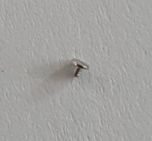 Longines Caliber 950.2 Part Number 5110 (Screw For Train Bridge)