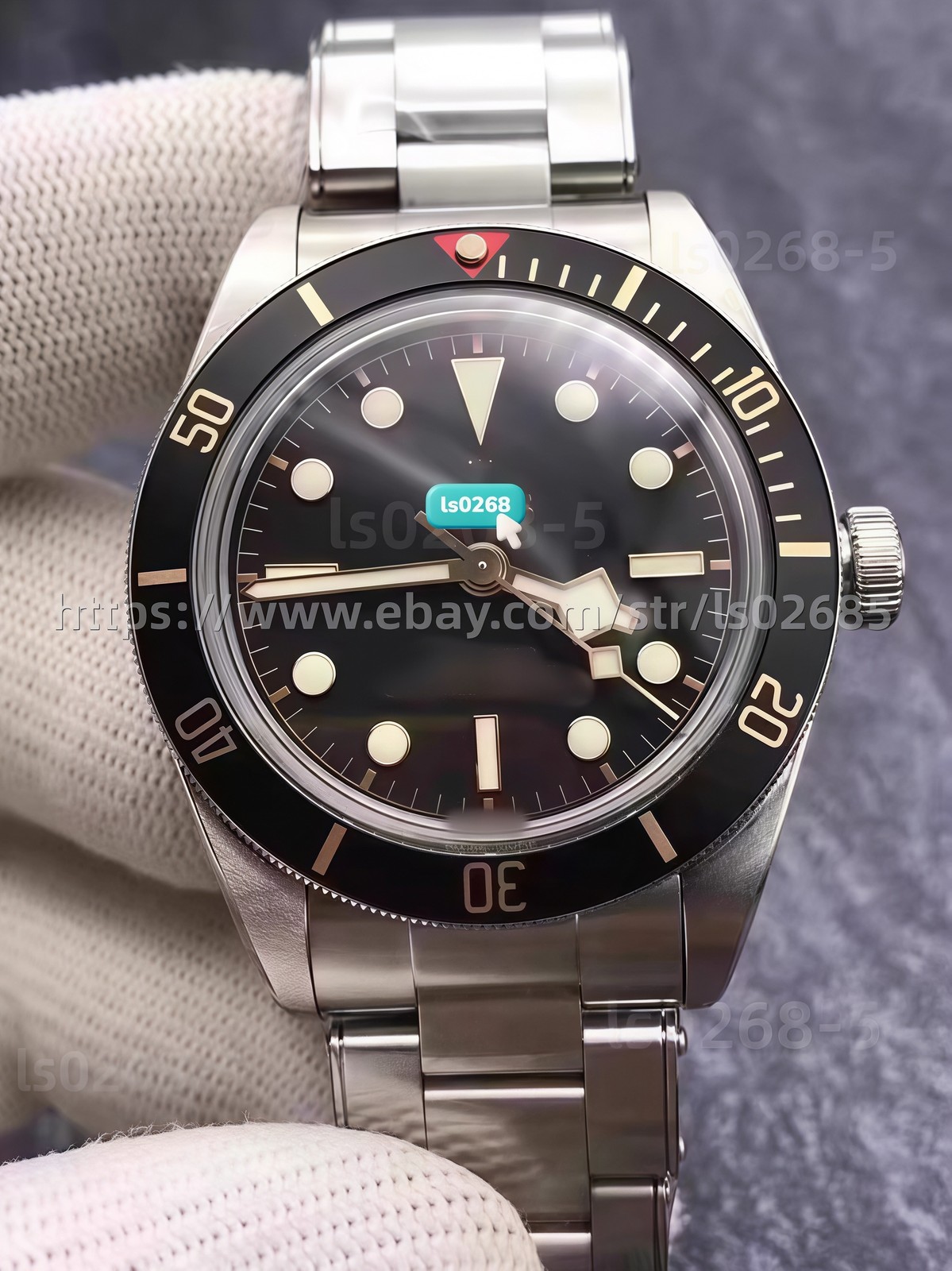 DIY SET for 41MM 2824 Watch Case + Dial + Hands + Strap