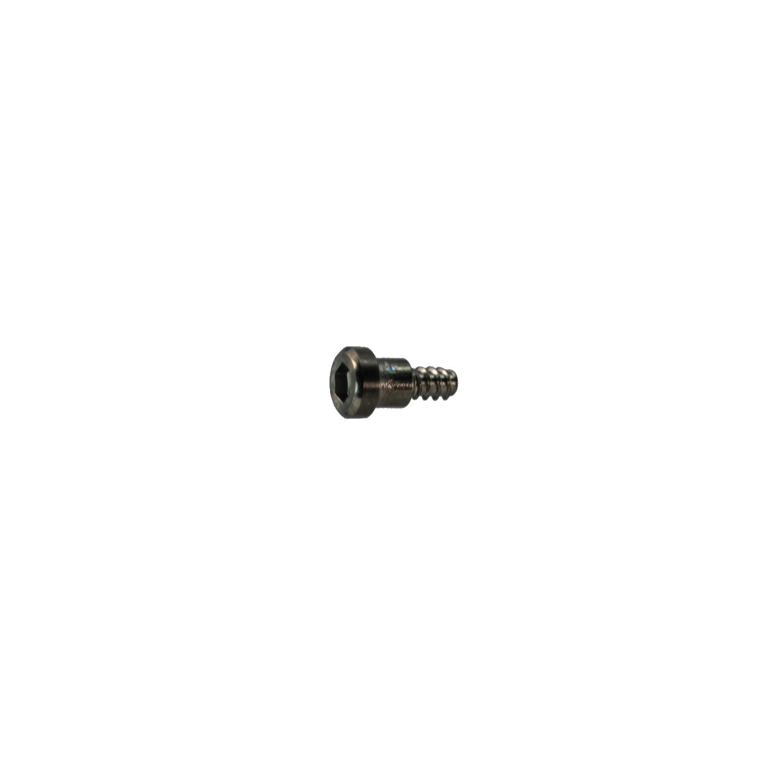 Genuine Casio set of 2 decorative bezel screws for GG-B100 GG B100 10592322