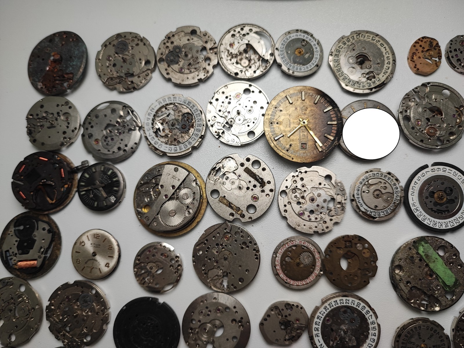 mix Watch Main Plate platinum lot watchmaker ut cattin as fef fhf eb jej other
