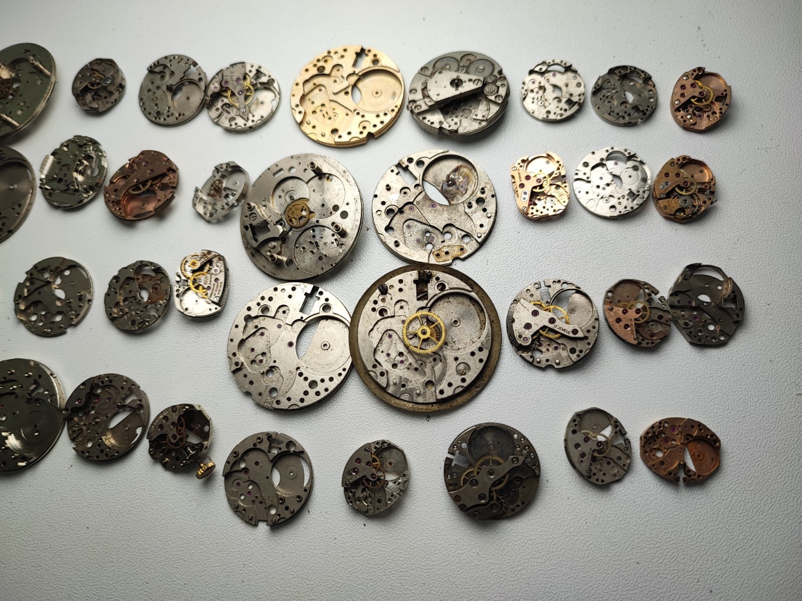 mix Watch Main Plate platinum lot watchmaker ut bfg as f eta fef green fhf ot…