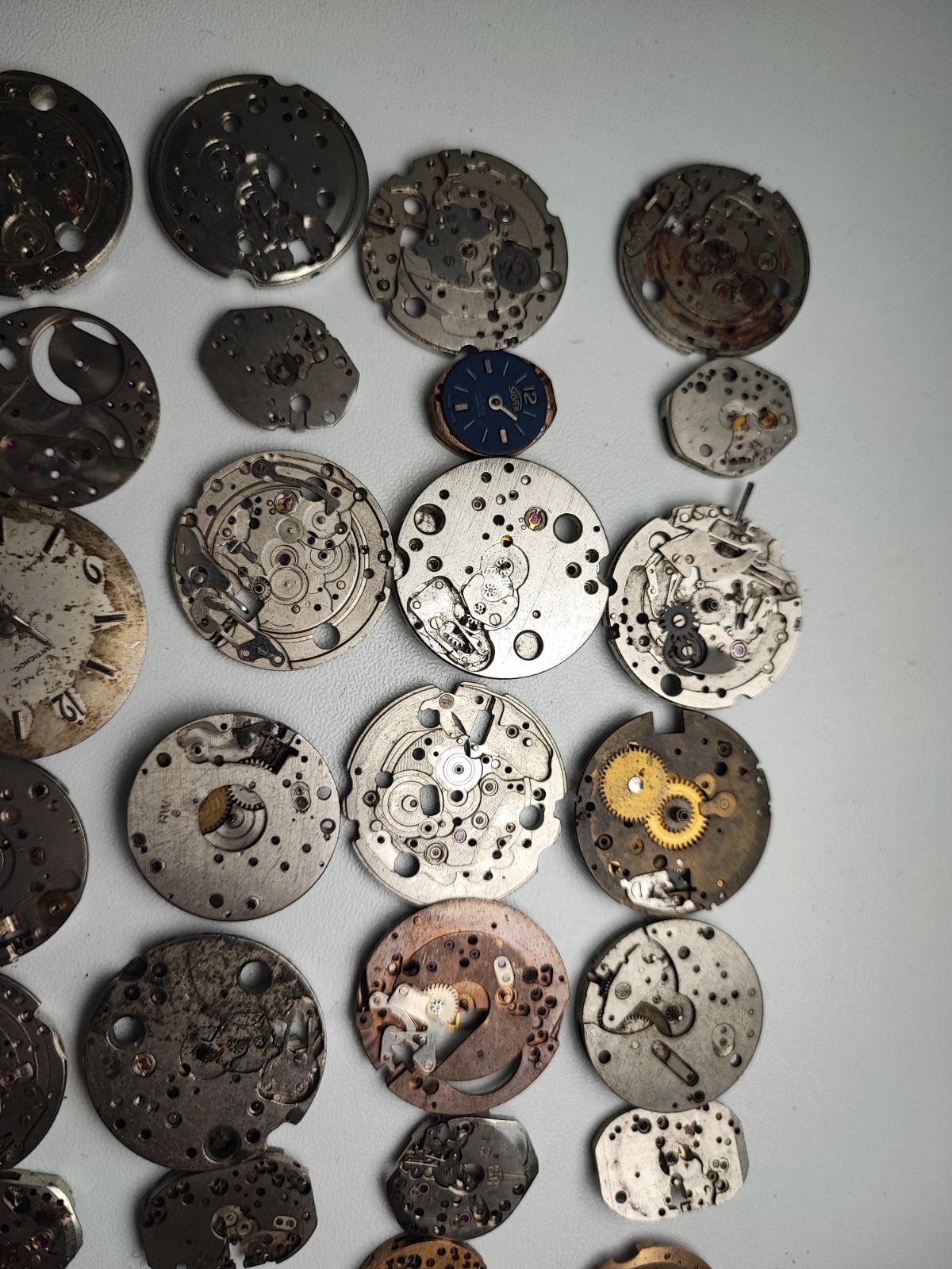 mix Watch Main Plate platinum lot watchmaker ut int fe as st rw jej bfg others