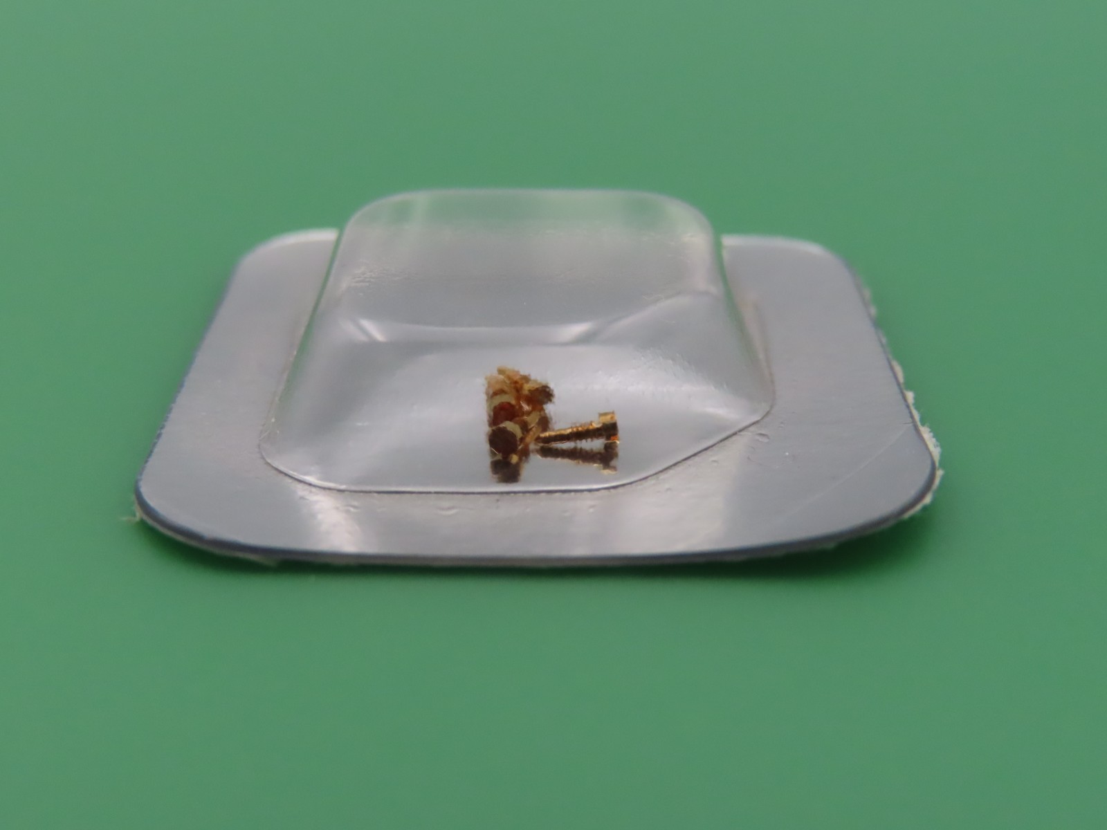 Cartier Brac. Figaro Screw (1 only) 637 01186 07837887 NOS Genuine