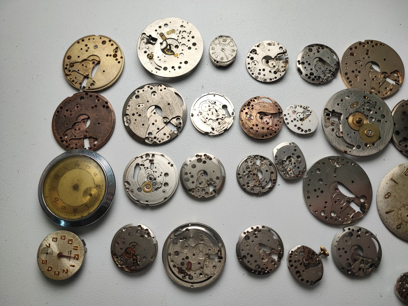 mix Watch Main Plate platinum lot watchmaker ut bfg as f eta fef green fhf ot…