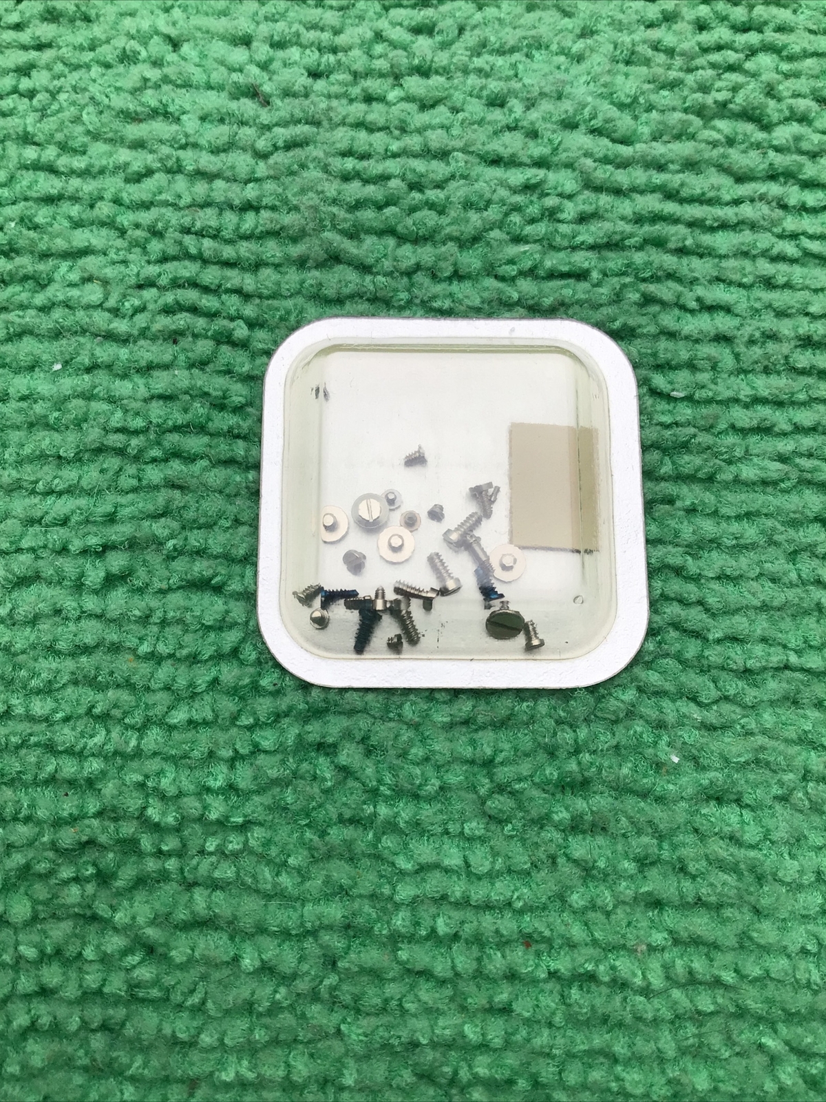 Genuine Rolex 1560 7991 Set Of Screws. Sealed NOS