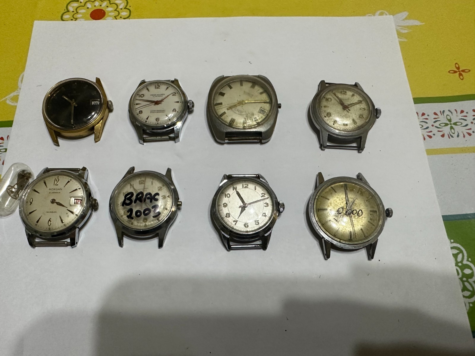 Job lot of 8 watches – Morgan, Accurex, Toxot, Envoy, Edox 1374