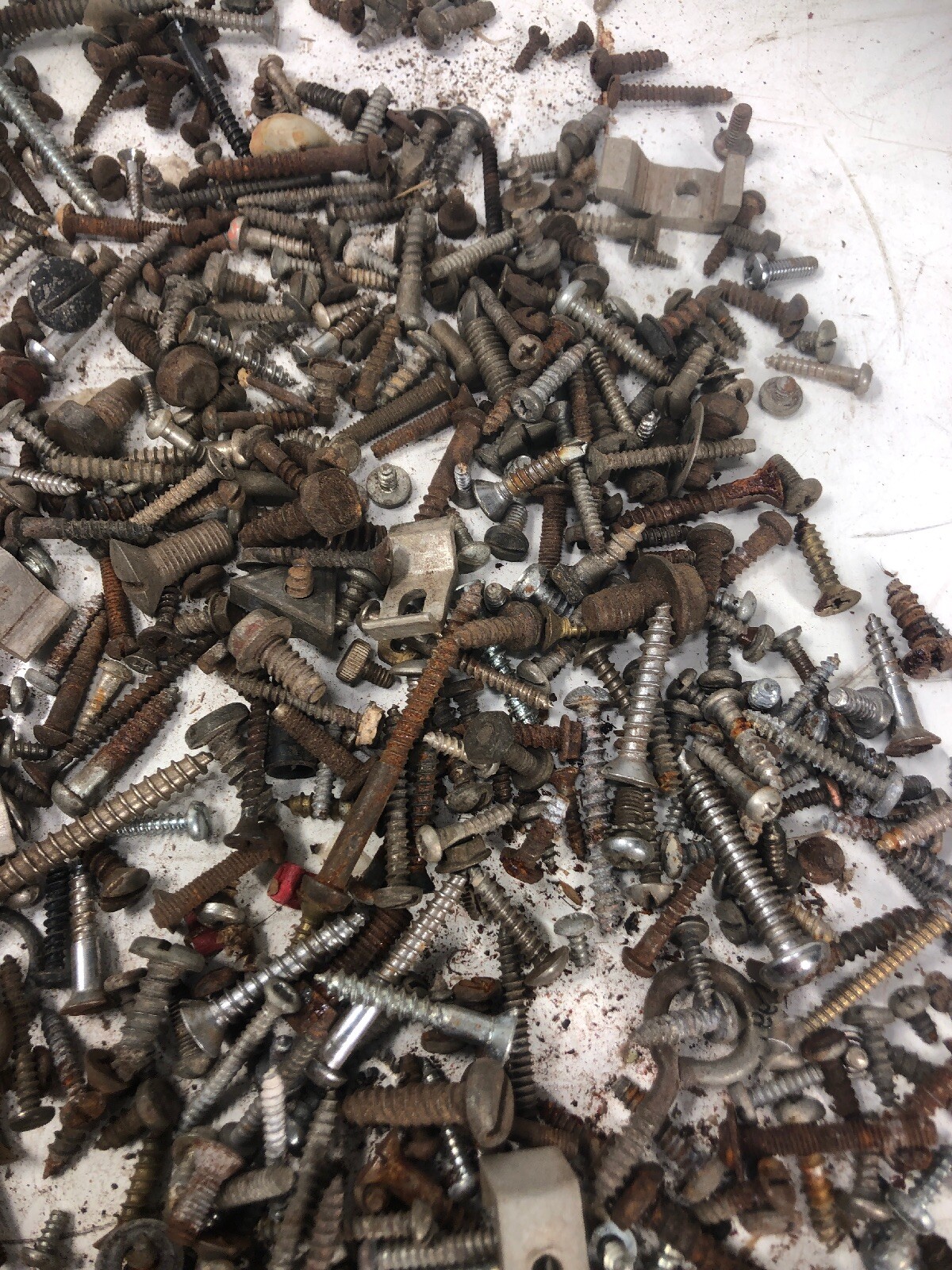 5+ Lbs ANTIQUE AND VINTAGE SCREWS, Fasteners Philips Flat Blade Rustic