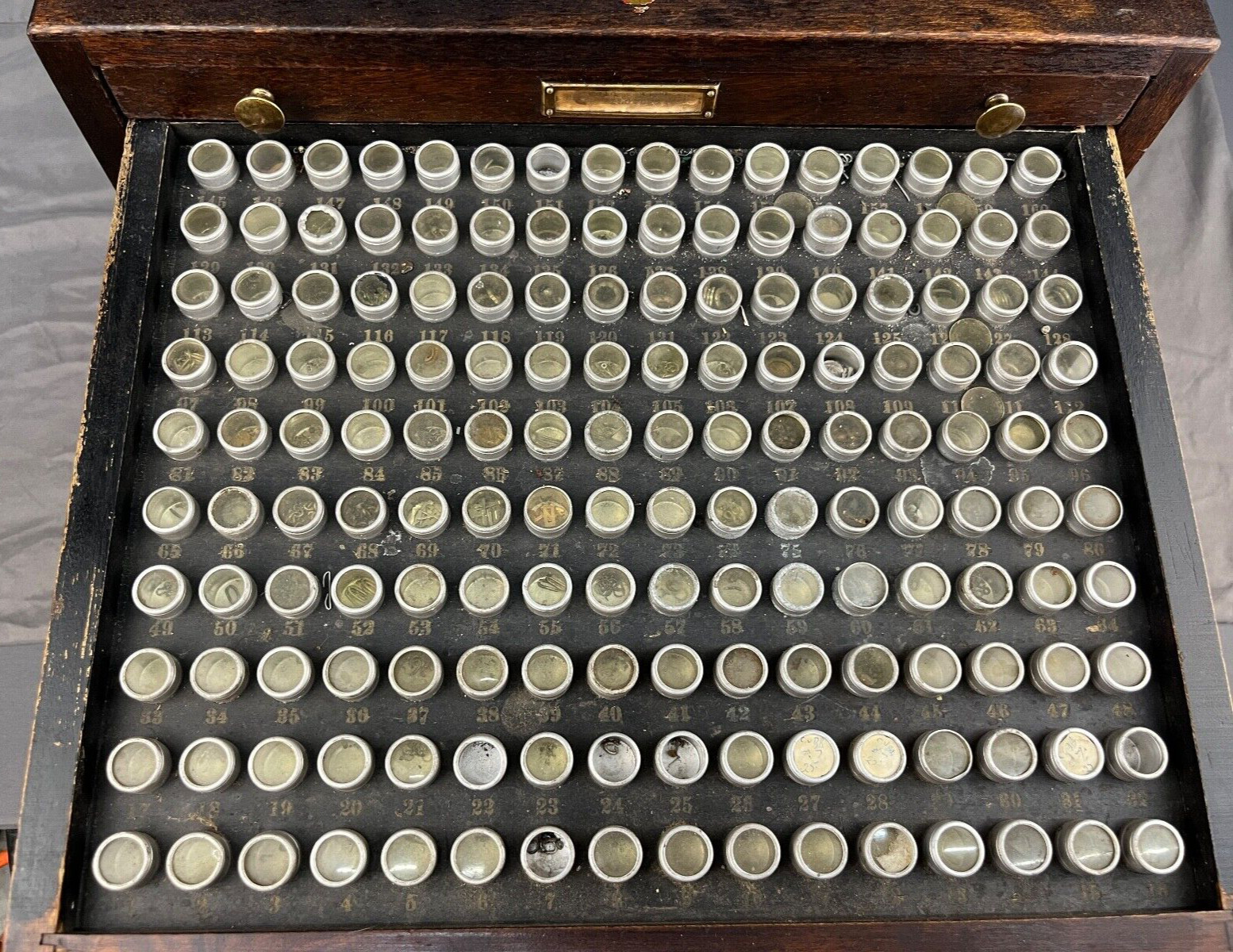 Antique Marco Table Top Mahogony Watch Case 10 Drawers and 1540 Slots + Parts