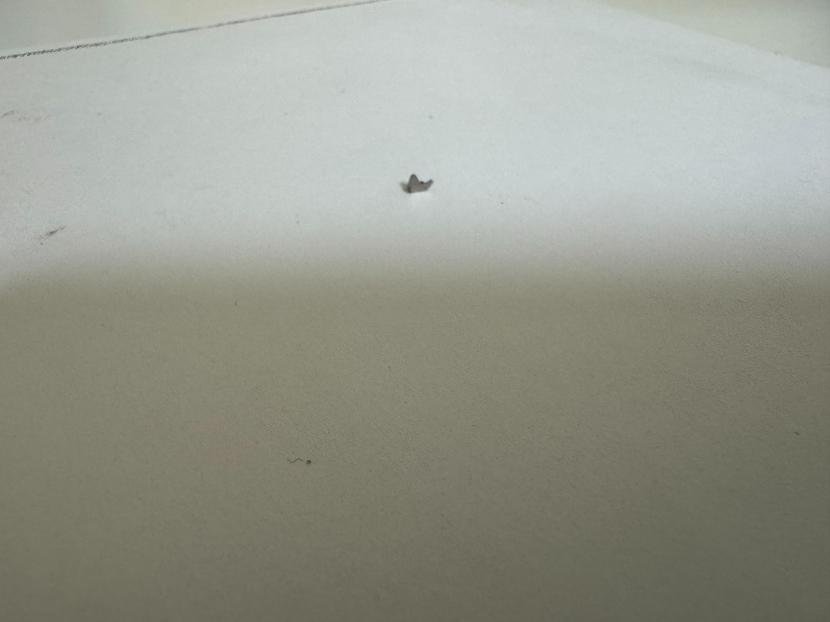 GENUINE Rolex 2230 220 Setting Lever/ Detent For Non Date Movement
