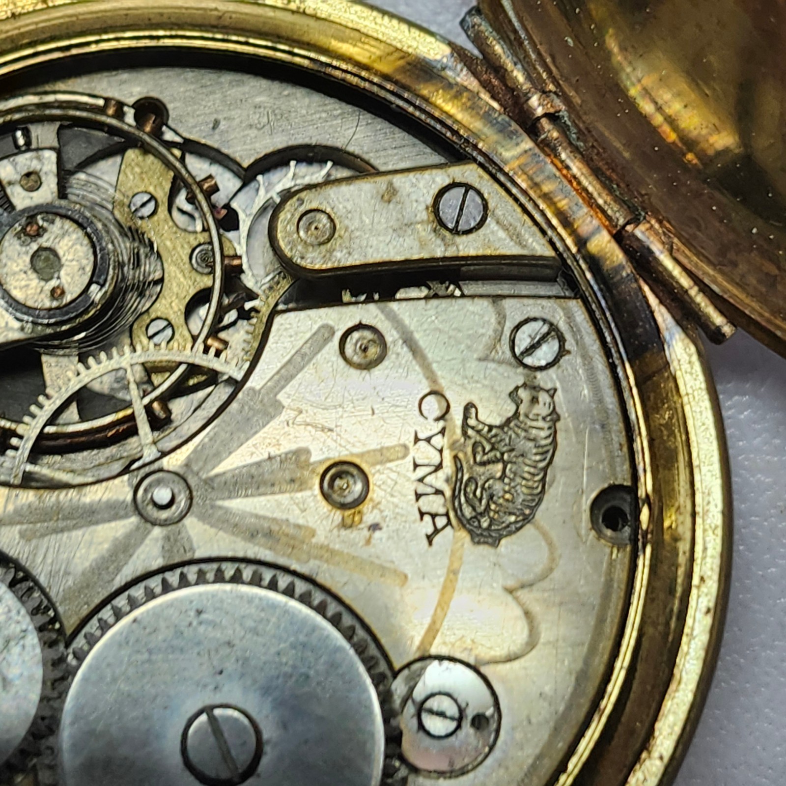 CYMA Tiger Invar Pocket Watch Maurice Wolf Dial Parts Repair As-Is Heavy Wear