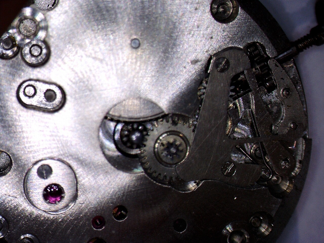 Genuine Recta F 19 Watch Movement Parts. Complete List Of Parts Available.