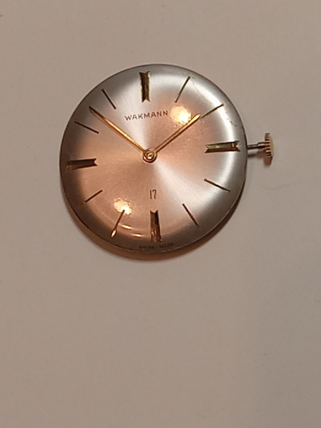 wakmann watch Movement 17 Jewels Swiss Mens Watch Mnual