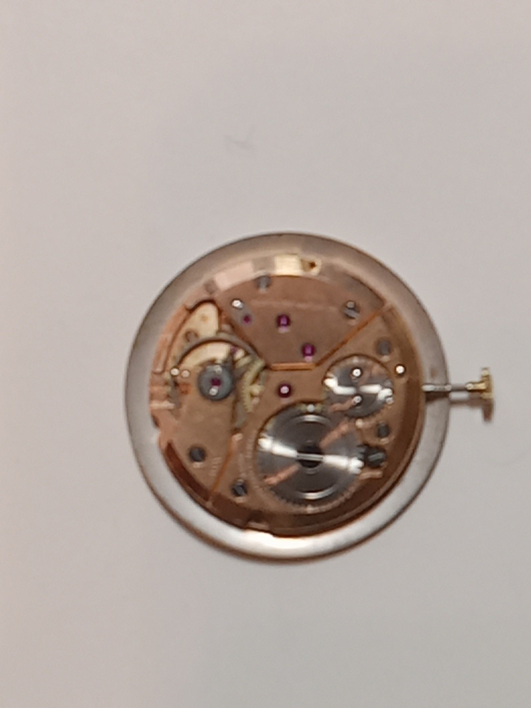 wakmann watch Movement 17 Jewels Swiss Mens Watch Mnual