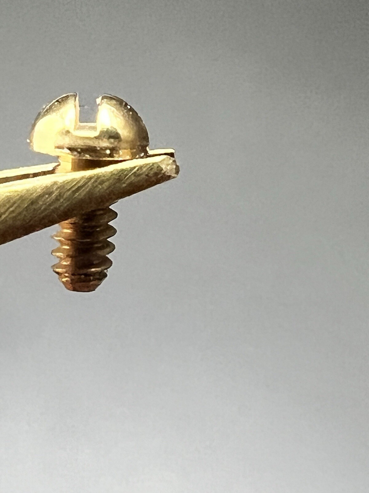 Breitling Single 29mmLong Riders Screw for Count UpDown Bezels G2U