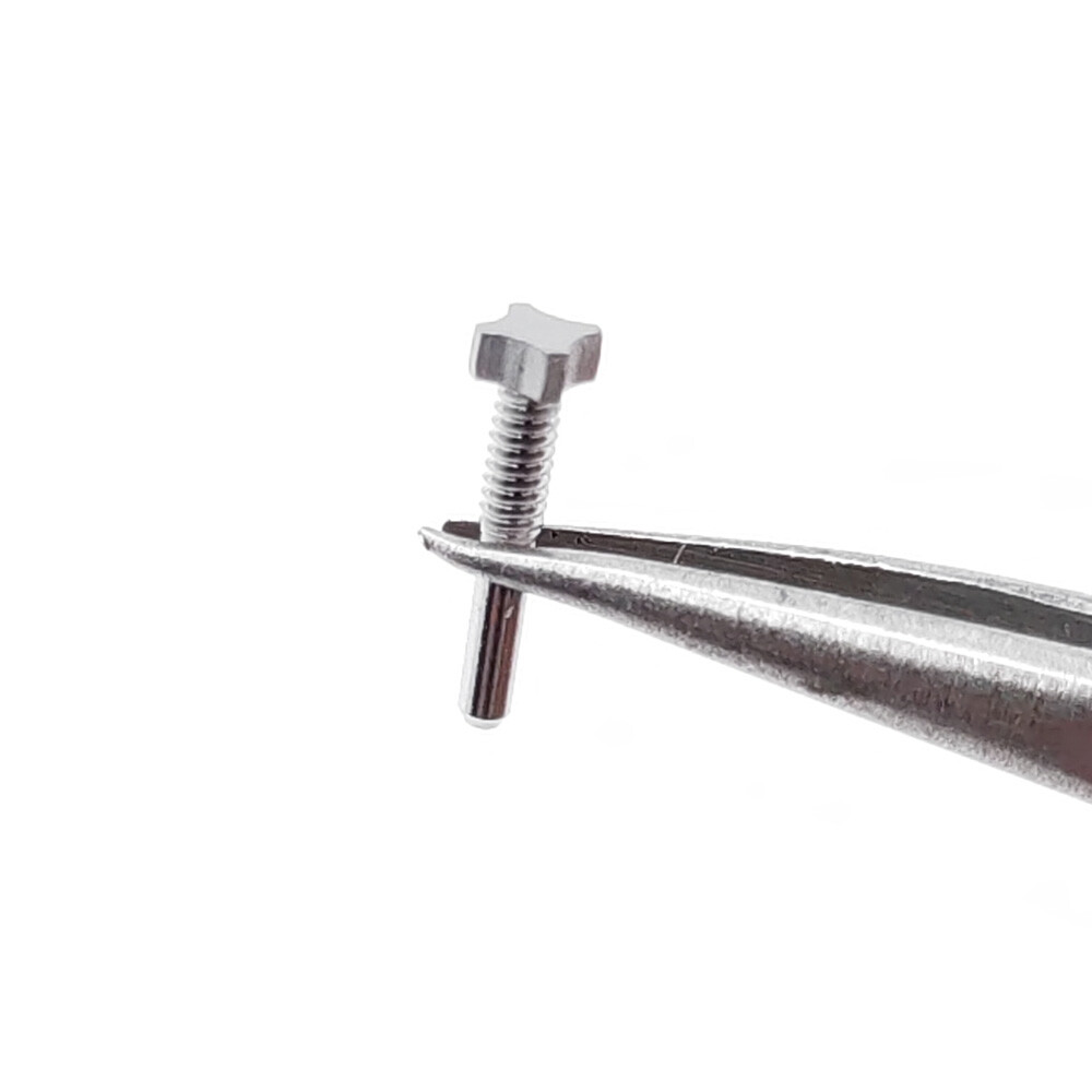 5 PCS 4 Star Silver Steel Screw L8.62 H2.12 to 2.62 For Richard Mille Watch Case