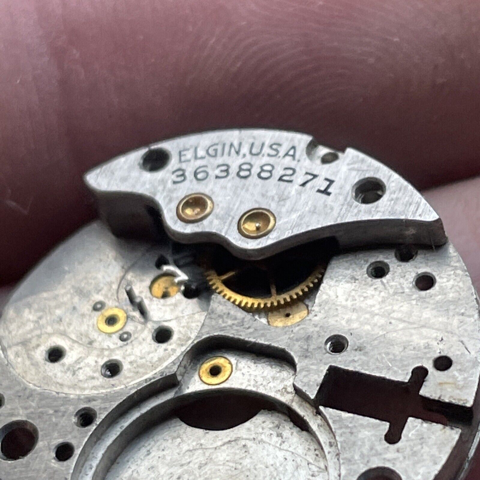 VTG Elgin Watch Co. Movement 36388271