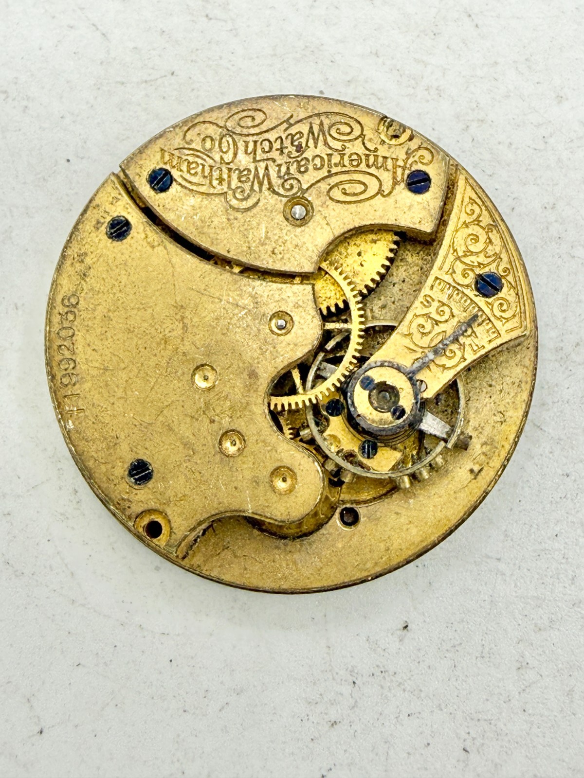 Antique 1902 6s Fancy Dial Waltham Seaside Pocket Watch Movement