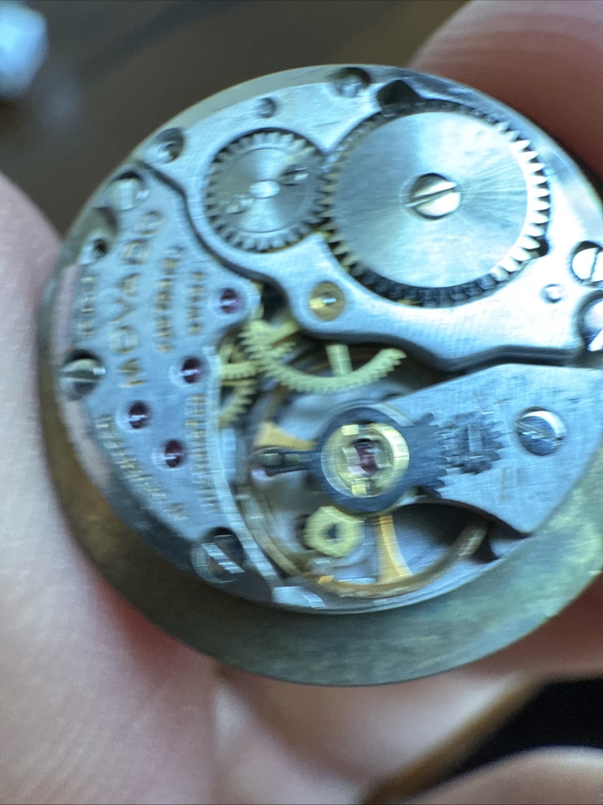 Vintage Zenith Movado 1731 Museum 17 Jewel Gold Dial Movement Good Balance