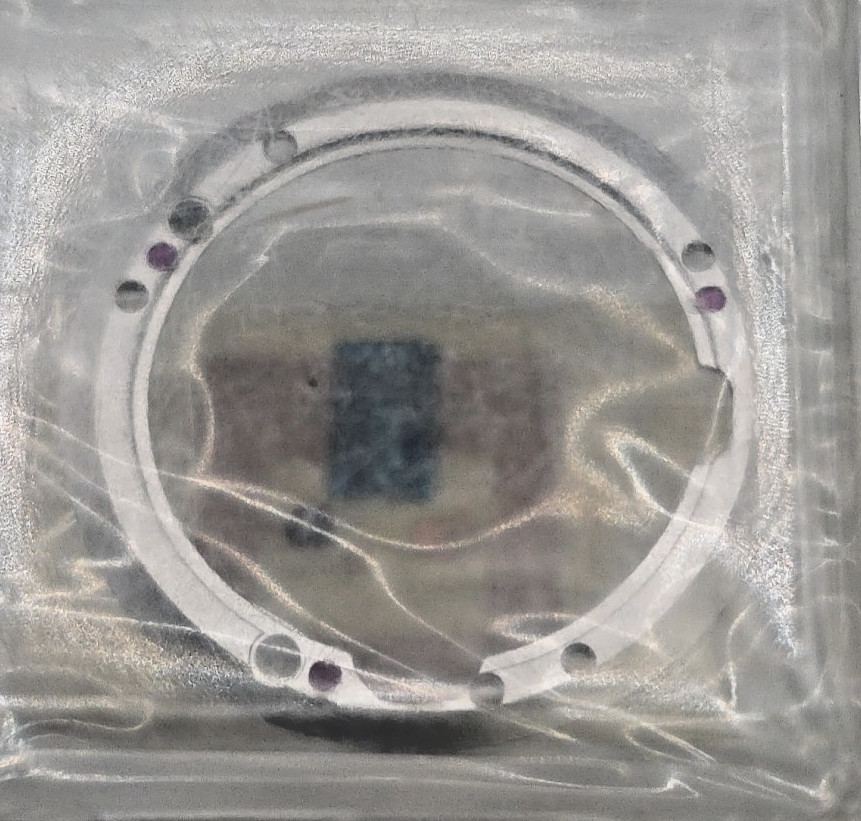 Rolex 1565 7963 Original Date Support In Blister 1600 1601 1602 1603 1605